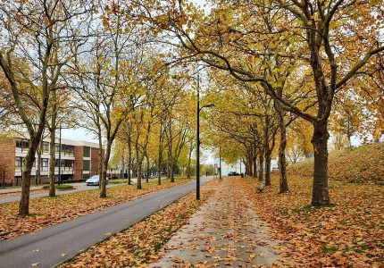 Automne dans un quartier résidentiel