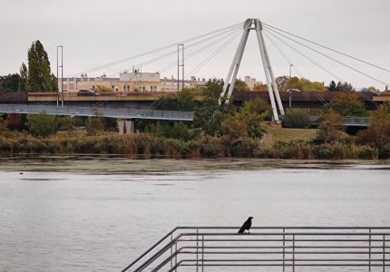 udikov_1791662665313